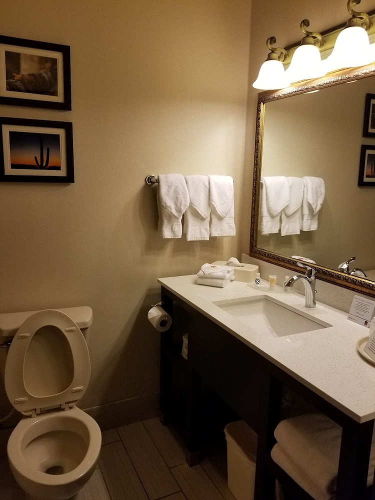 Comfort Suites McAllen, Foto 2