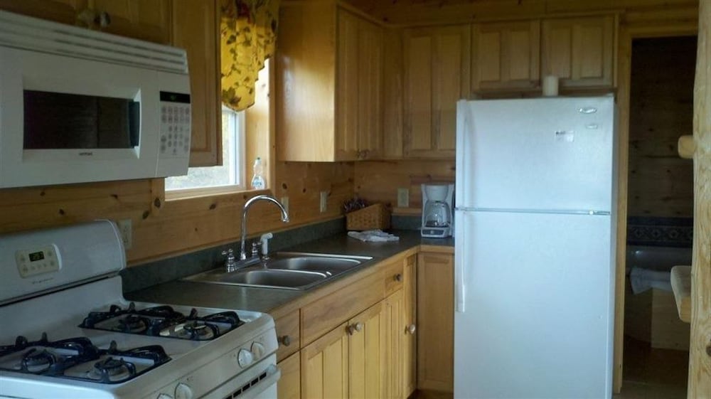 Cabin, 3 Bedrooms, Jetted Tub, Lake View (The Moose) photo 2