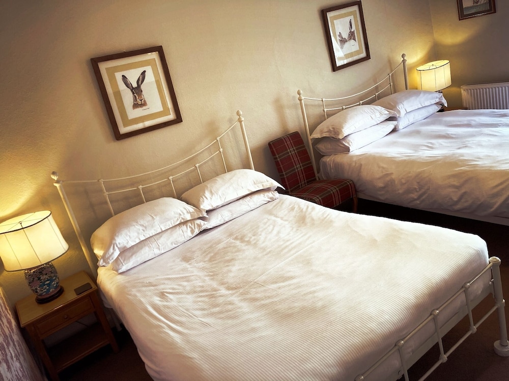 Deluxe Twin Room, Ensuite - Photo 1