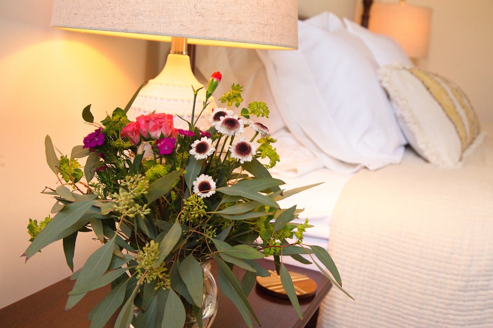 Luxury Studio Suite photo 3