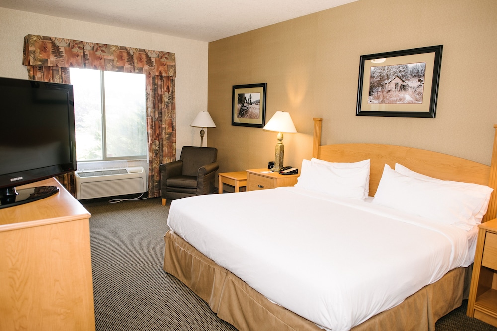 Suite, 1 King Bed - Photo 1