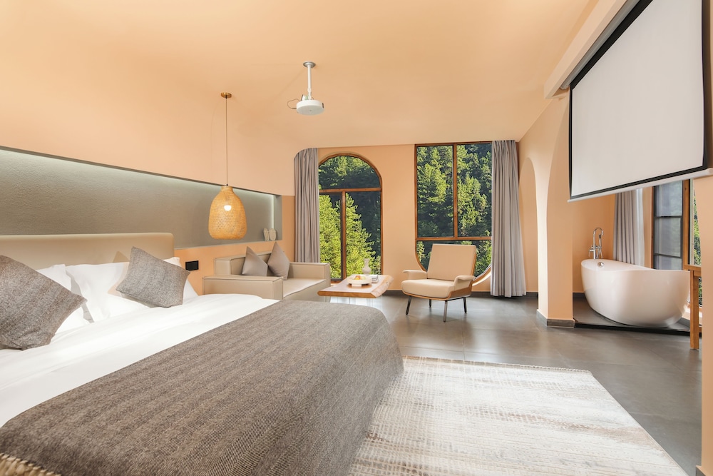 Basic Single Room, Non Smoking, Mountain View