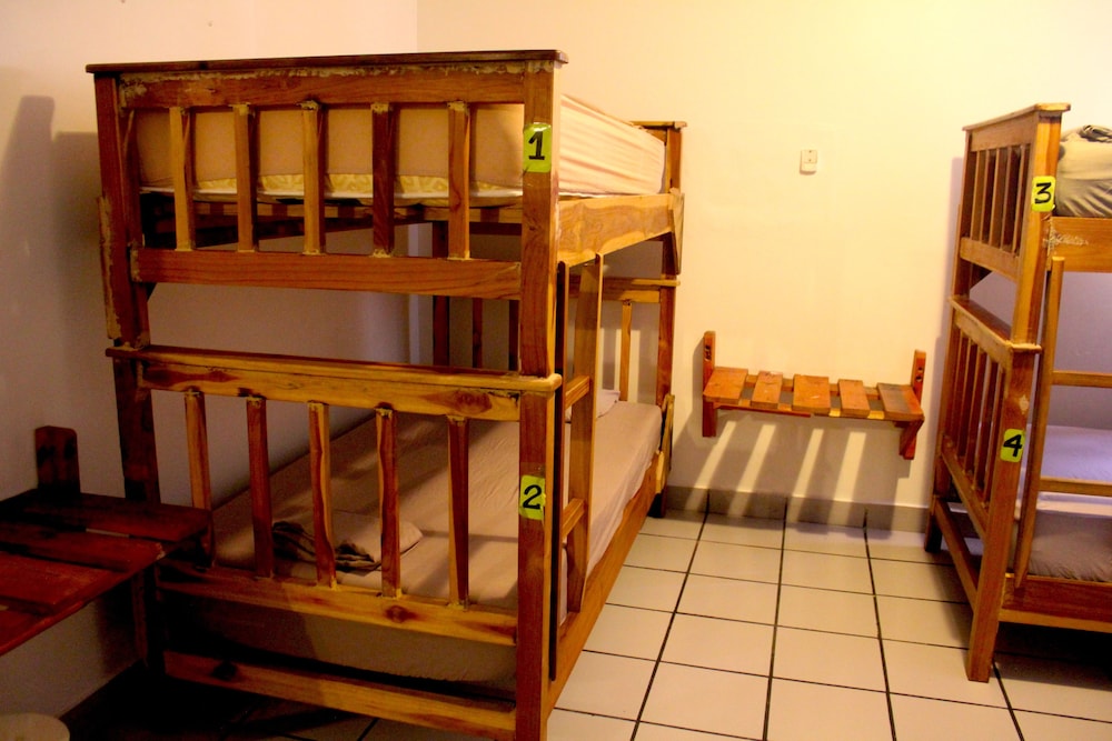 Shared Dormitory, Women only, Shared Bathroom photo 3
