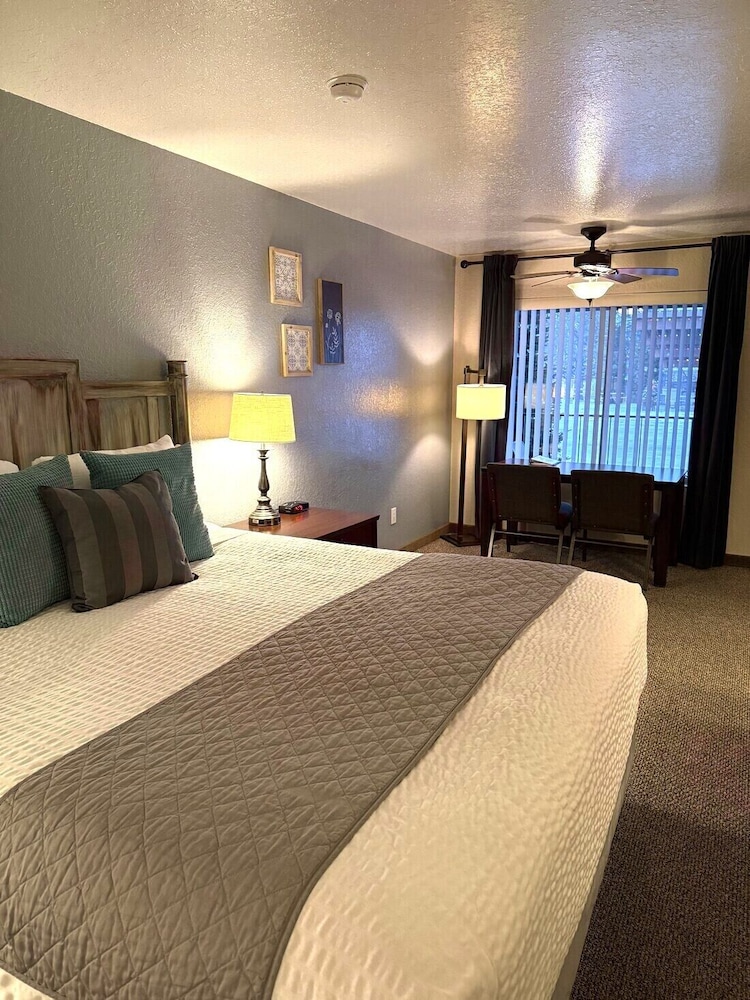Single Room, 1 King Bed, Pets Allowed, Ground Floor