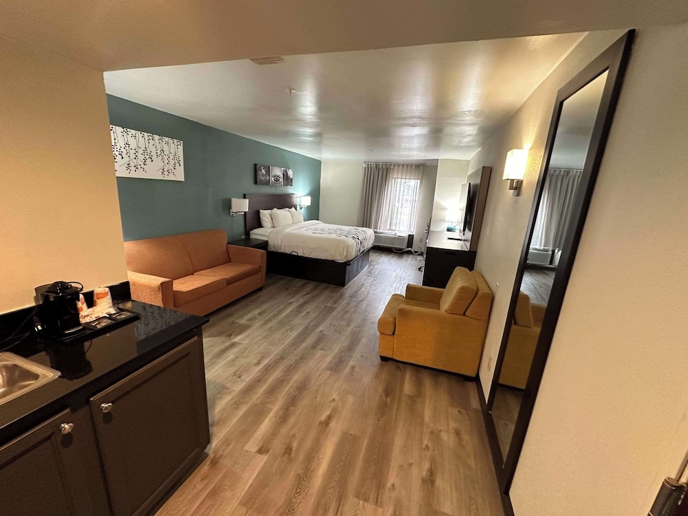 Suite, 1 King Bed, Non Smoking - Photo 9
