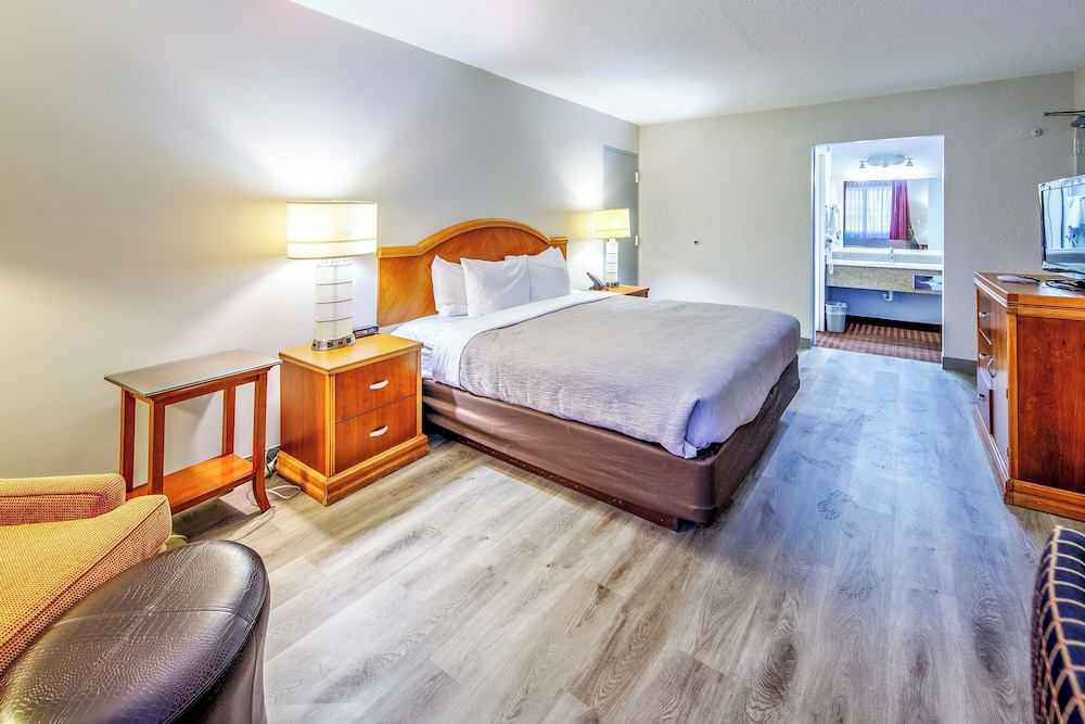 Suite, 1 King Bed with Sofa bed, Non Smoking - Photo 1