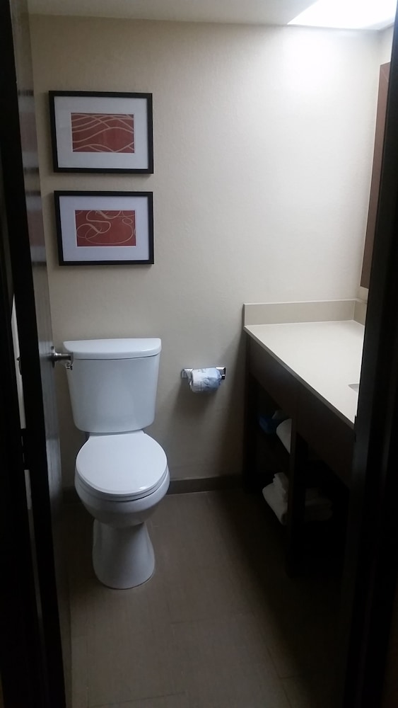 Deluxe Suite, Non Smoking - Photo 4