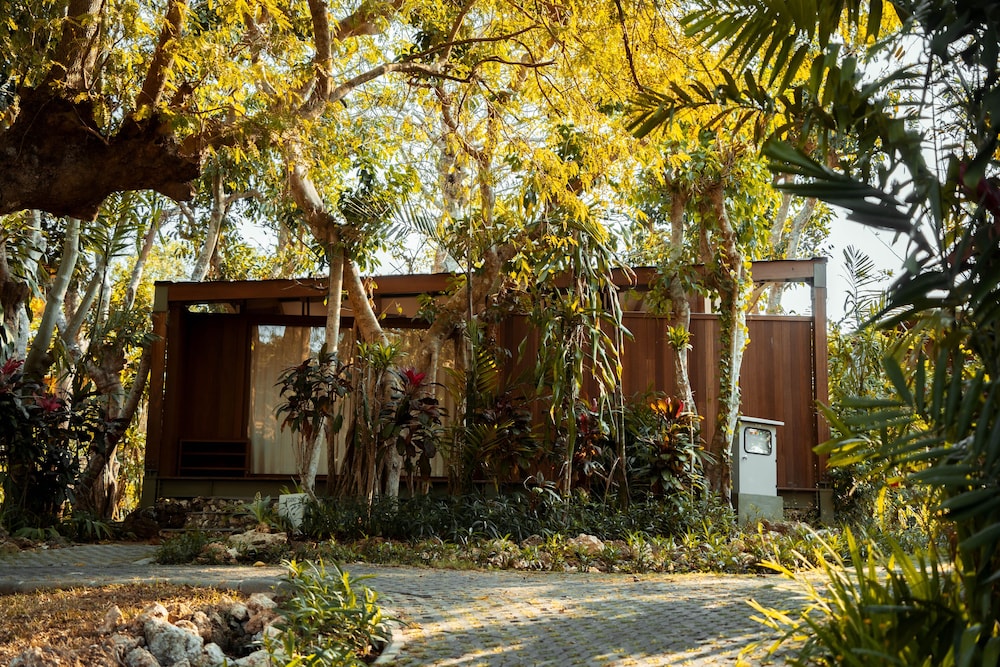Studio (N Family) - Photo 5