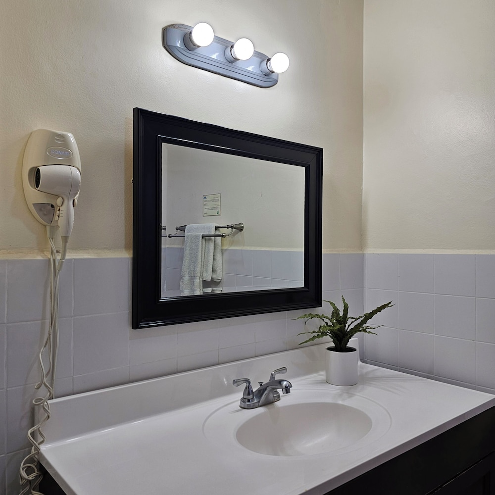 Executive Room photo 3