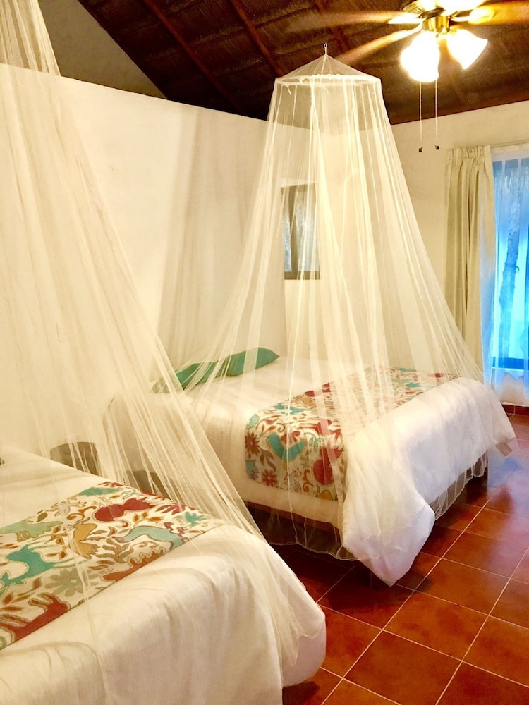 Deluxe Room, 2 Double Beds