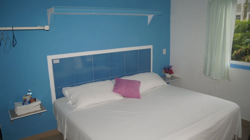 Basic Room, 1 King Bed photo 3