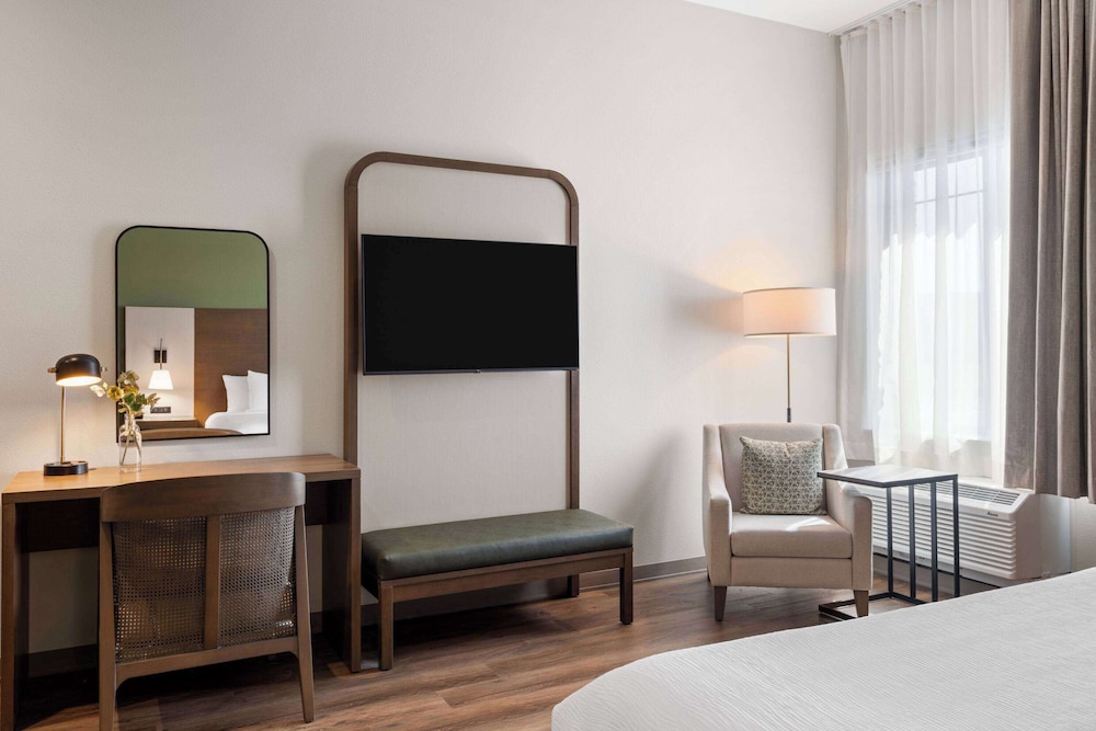Room, 1 King Bed, Accessible (Mobility, Roll-in Shower)