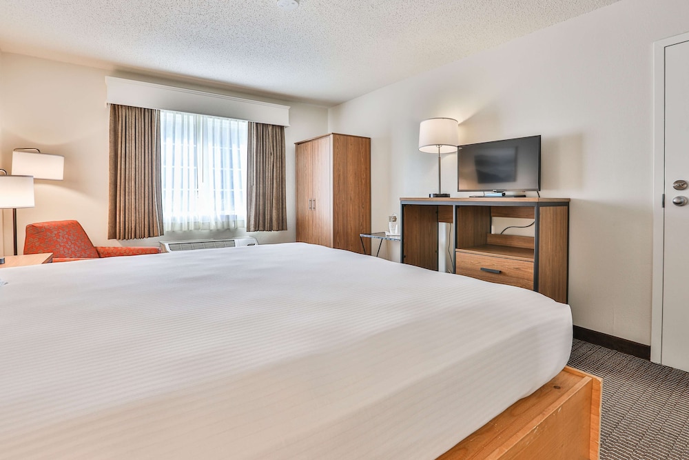 Standard Room, 1 King Bed, Accessible, Non Smoking photo 2