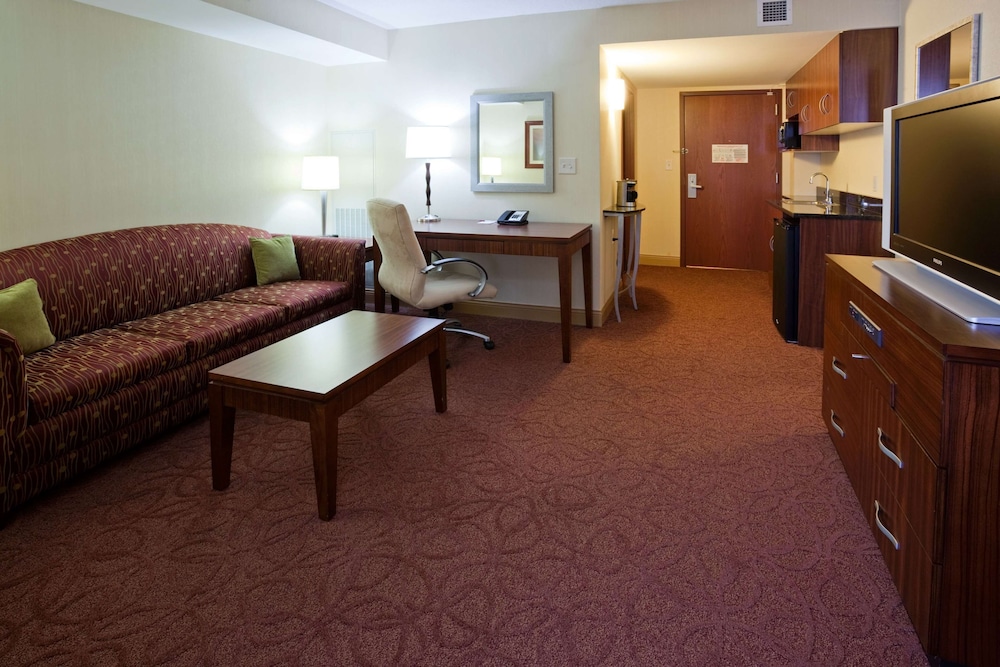 Room, 1 King Bed, Accessible (Hearing Accessible One Bedroom Suite ) photo 2