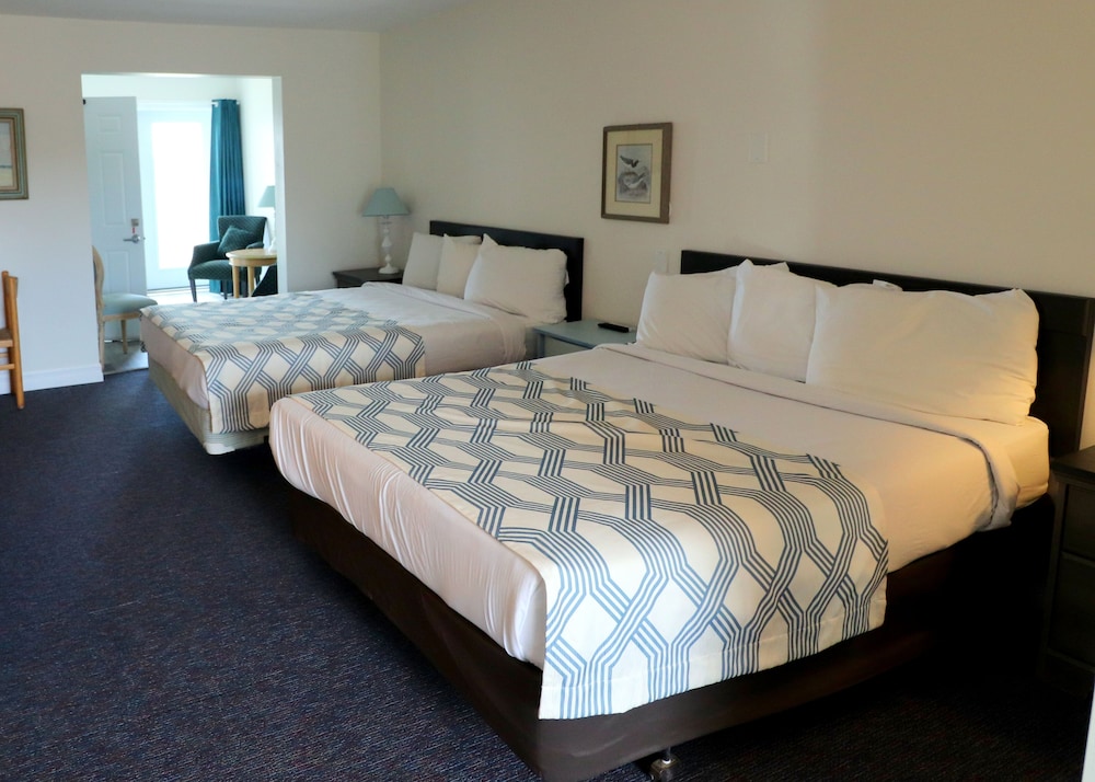 Double Room, 2 Double Beds (Pet Friendly) photo 1