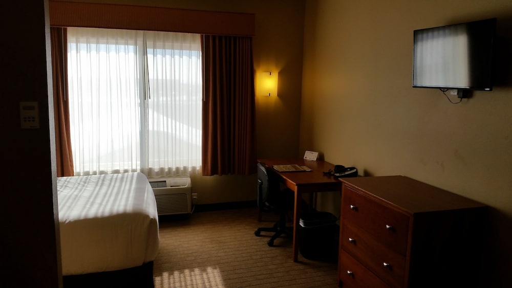 Deluxe Studio Suite, Kitchen (1 Queen Bed Studio Half Kitchen)