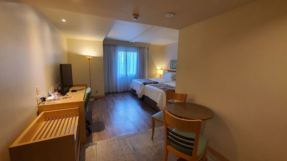 Deluxe Single Room, Multiple Beds - Photo 4