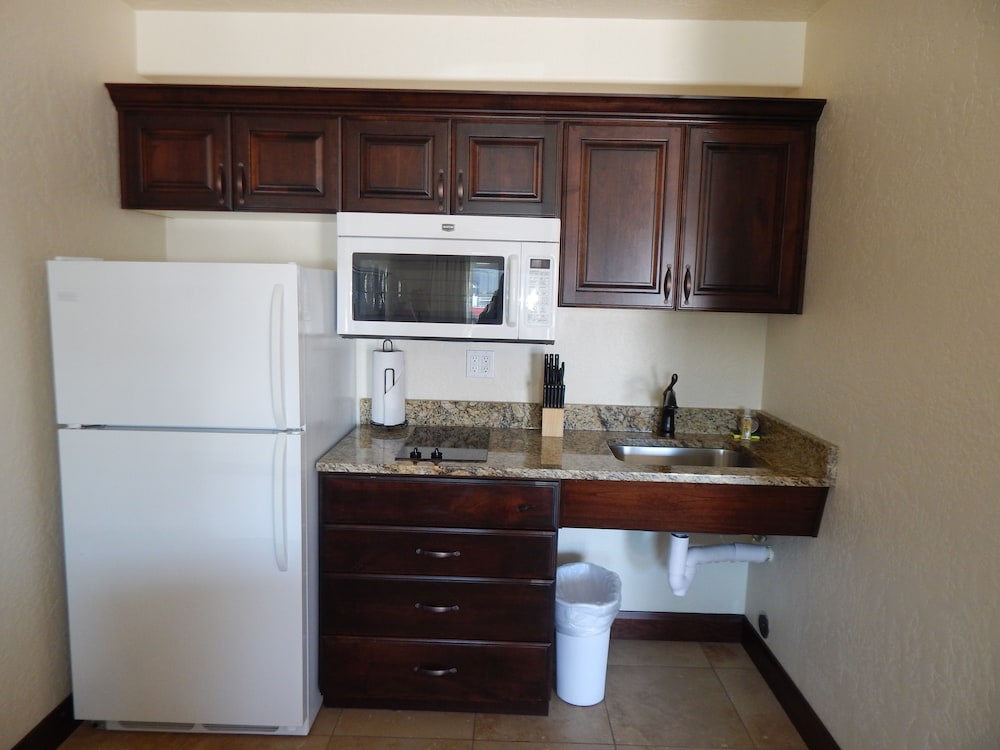 Business Suite, Accessible, Kitchen photo 2