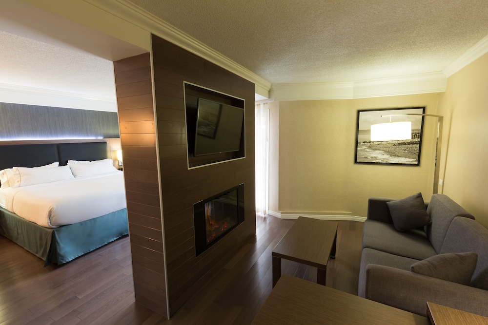 Suite, 1 King Bed photo 2