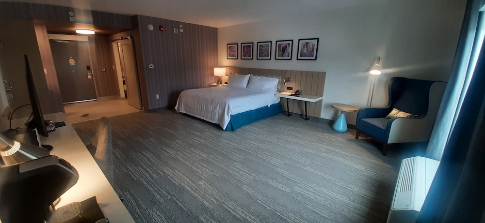Room, 1 King Bed, Accessible, Bathtub (Hearing) - Photo 2