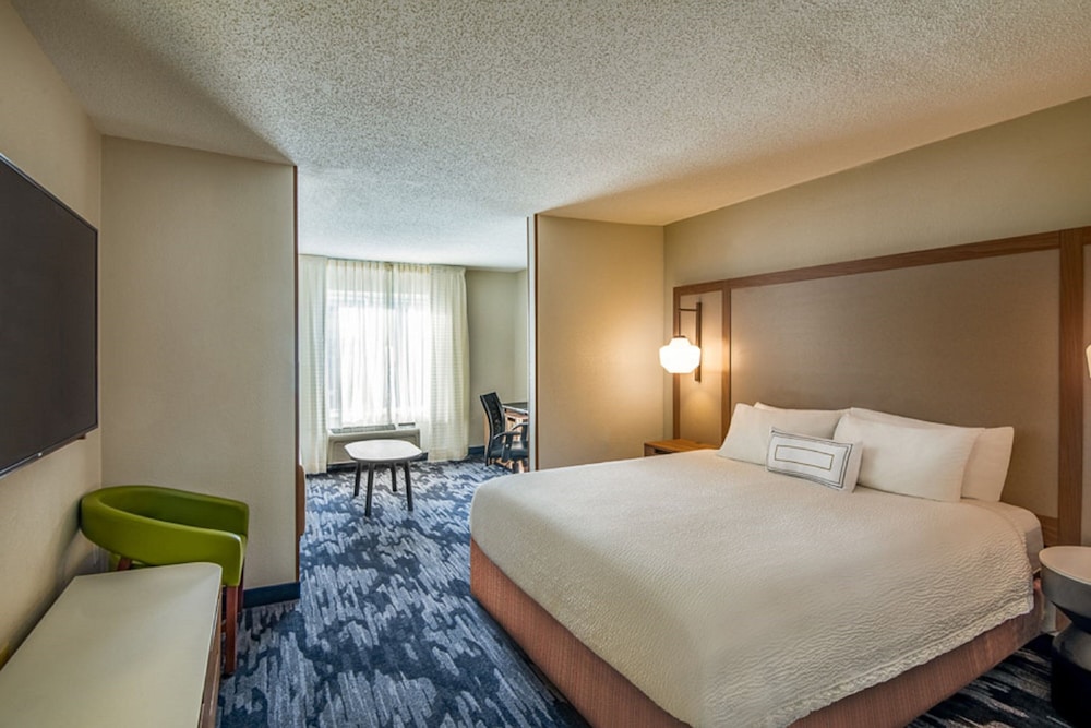 Room, 1 King Bed with Sofa bed