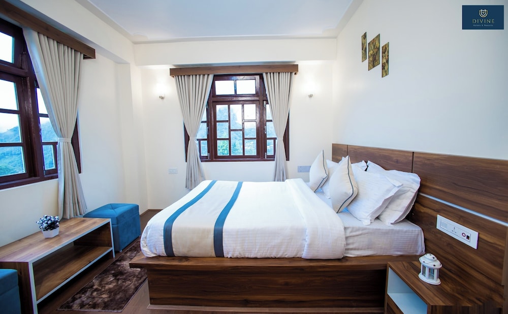 Deluxe Double Room photo 1