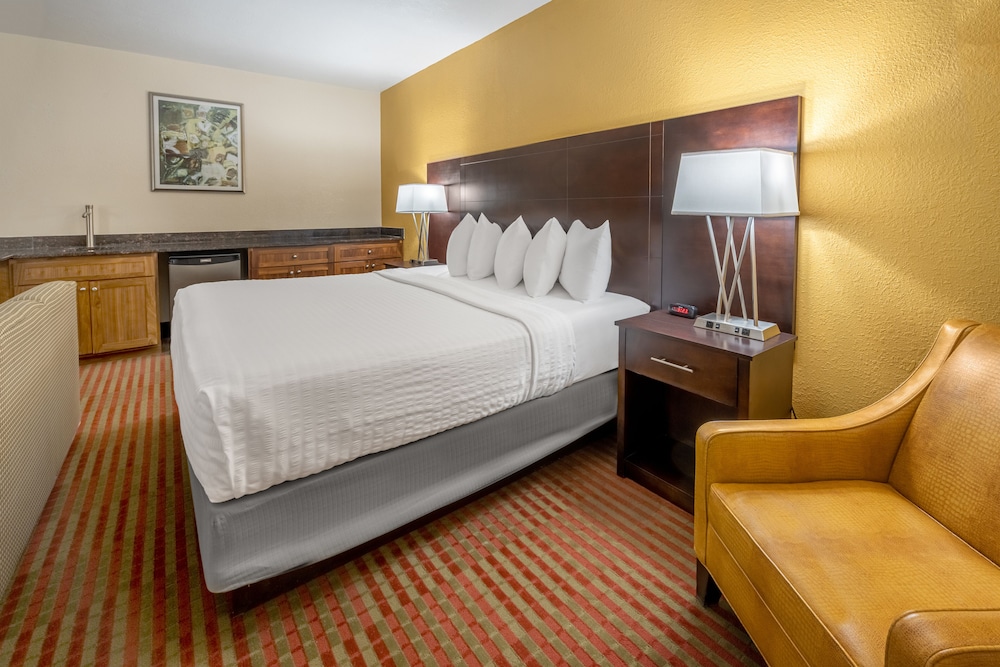 Suite, 1 King Bed photo 2