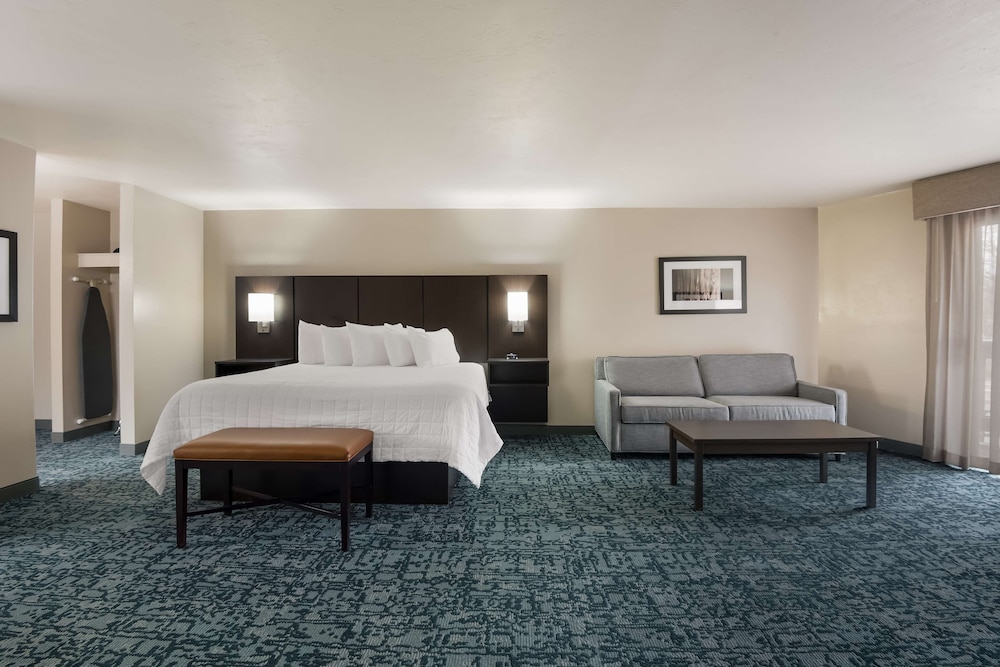 Standard Room, 1 King Bed, Non Smoking, Refrigerator & Microwave
