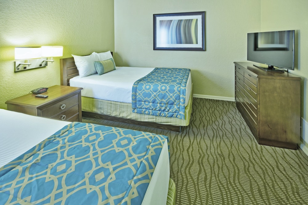 Mini Suite photo 1