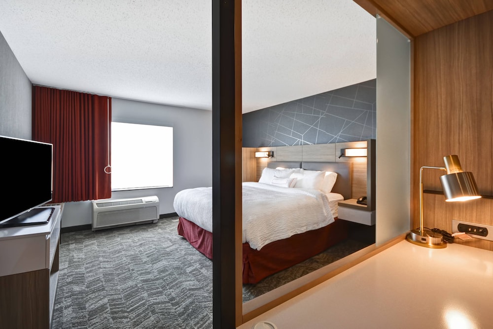 Suite, 1 King Bed with Sofa bed (Mobility Accessible, Roll-In Shower) - Photo 6