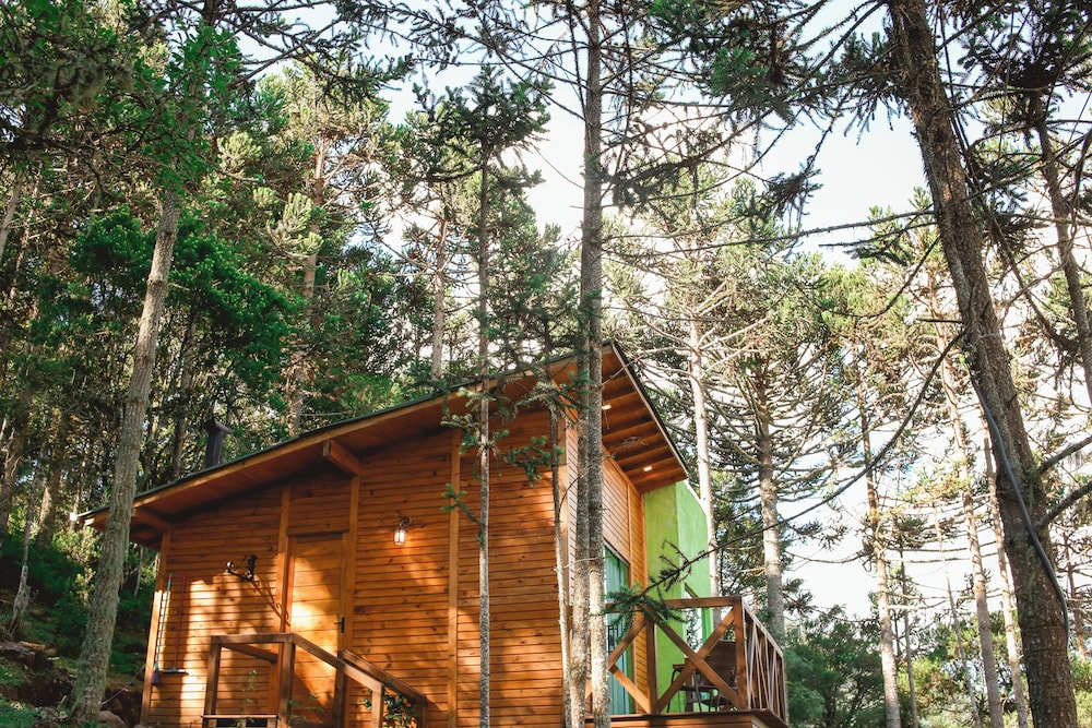Chalet, Mountain View photo 3