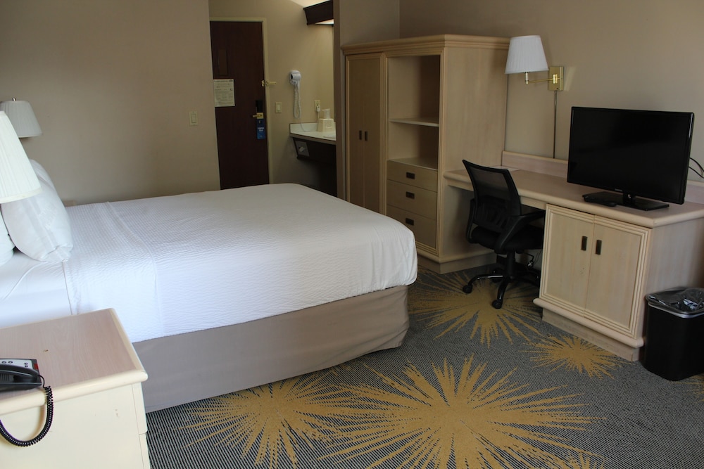 Efficiency, Standard Room, 1 Queen Bed - Photo 1