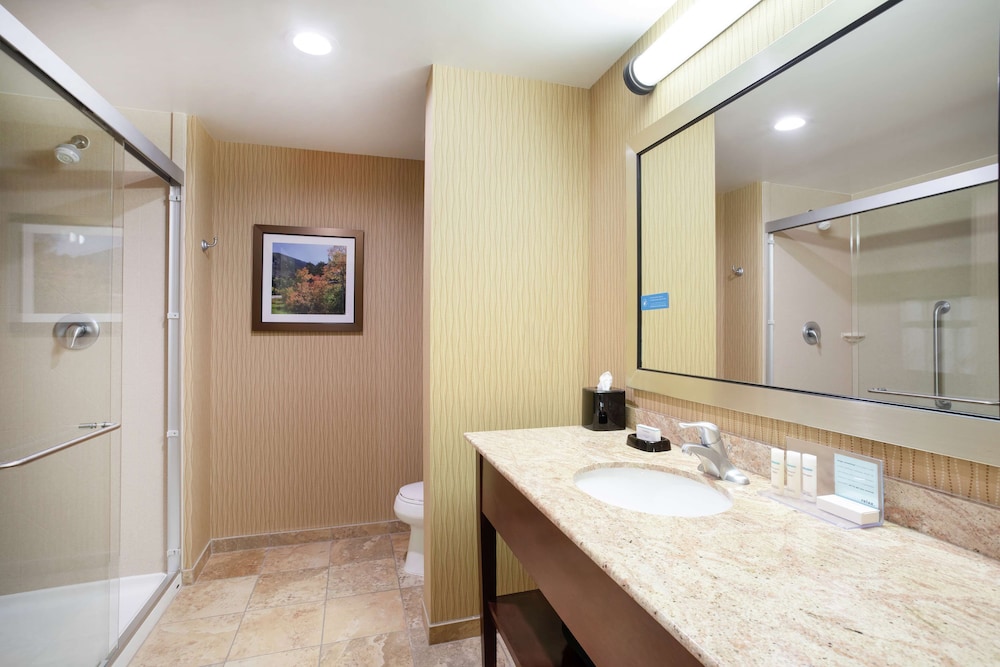 Room, 1 King Bed, Accessible photo 3