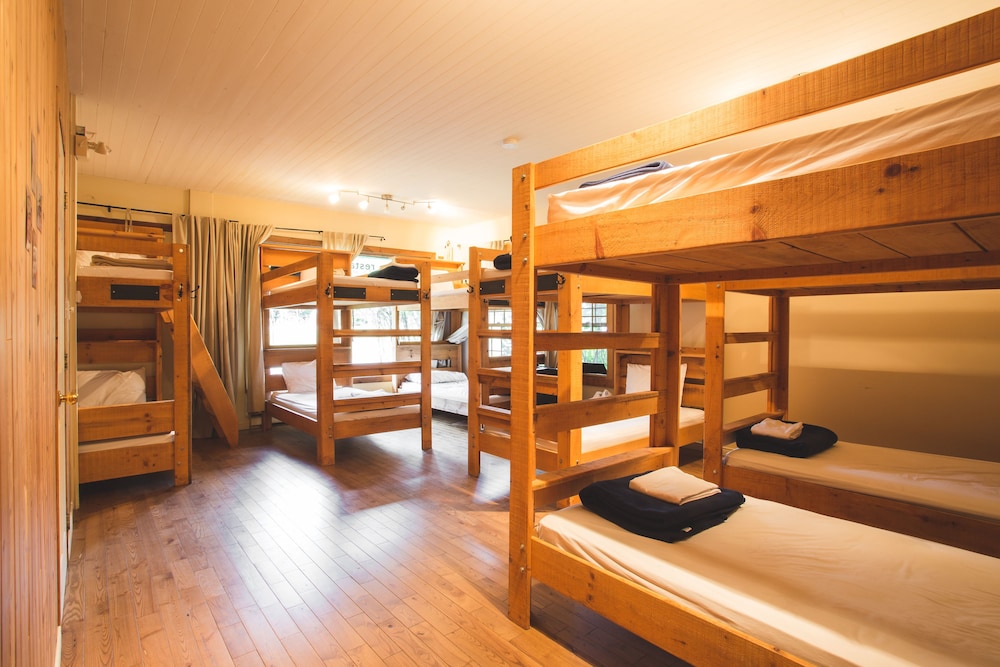 Shared Dormitory, 1 Twin Bed (Dortoir 12 lits - 12 beds Dormitory)