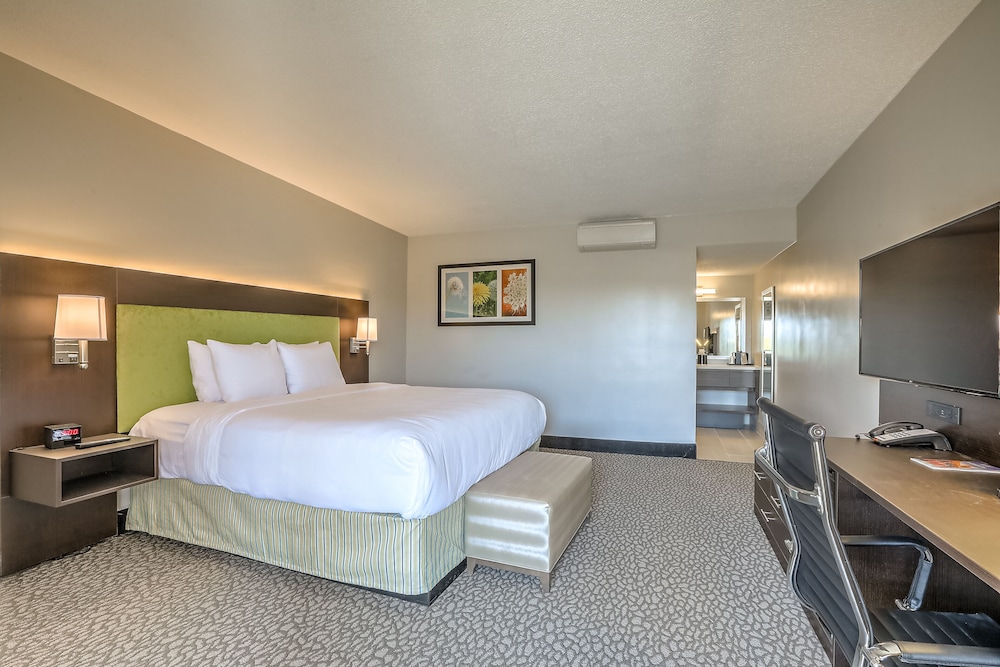 Standard Room, 1 King Bed, Non Smoking - Photo 14