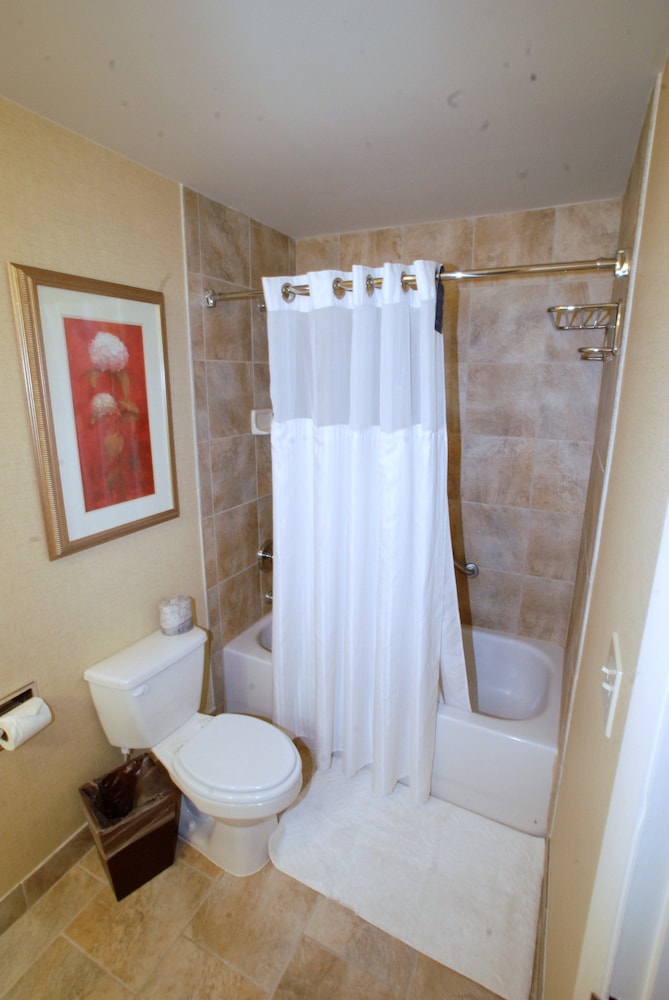 Deluxe Room, 1 King Bed, Accessible, Bathtub - Photo 4