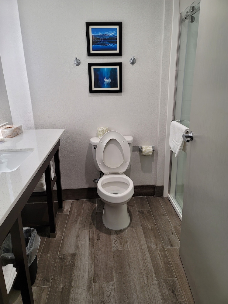 Deluxe Suite, 1 King Bed with Sofa bed, Non Smoking - Photo 3