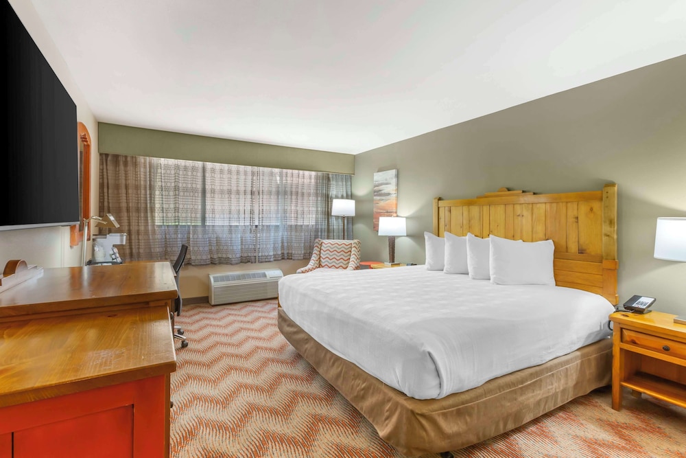 Standard Room, 1 King Bed, Non Smoking (Shower Only) - Photo 1