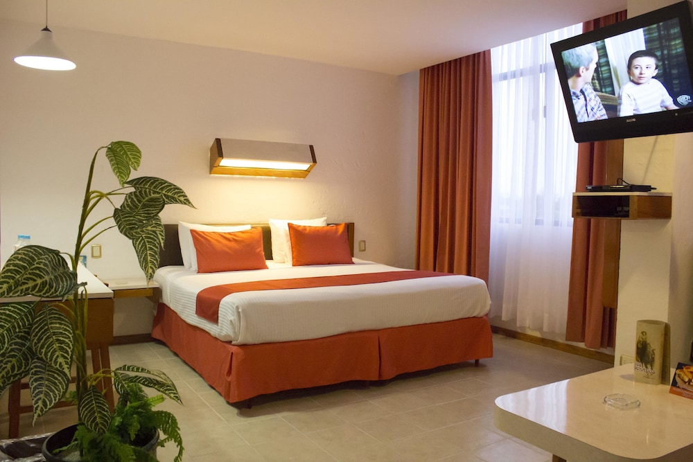 Standard Room, 1 King Bed photo 3