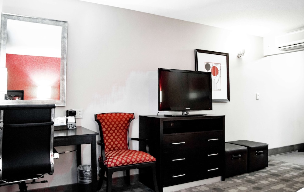 Studio, 1 King Bed With Sofa Bed, Accessible (Mobility Accessible Roll-In Shower) - Photo 2