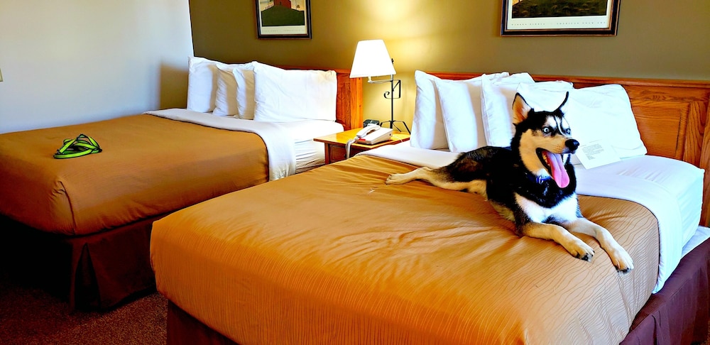 Standard Room, 2 Queen Beds, Non Smoking (Pet friendly) photo 1
