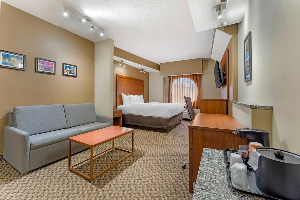 Suite, 1 King Bed with Sofa bed, Non Smoking