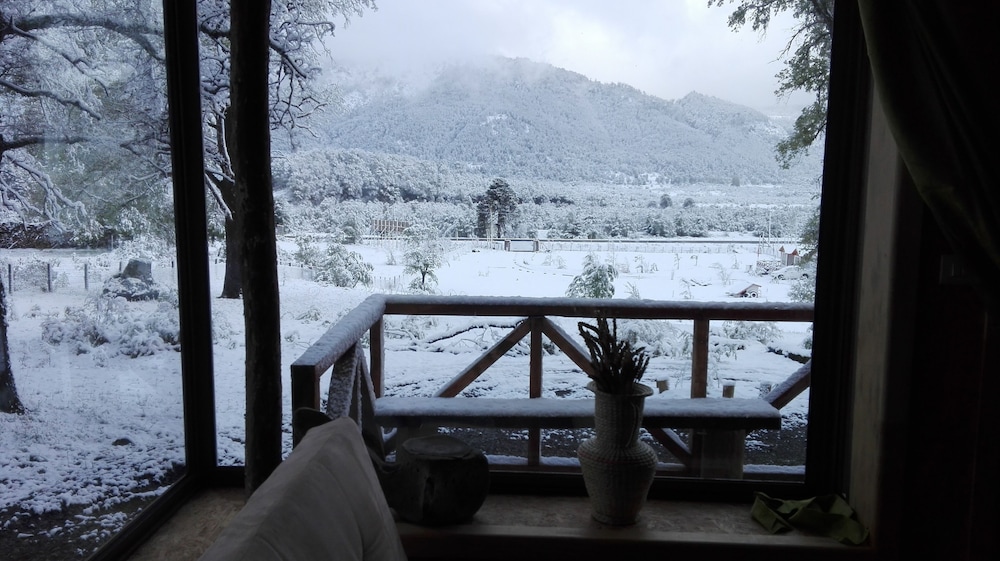 Comfort Cabin photo 2