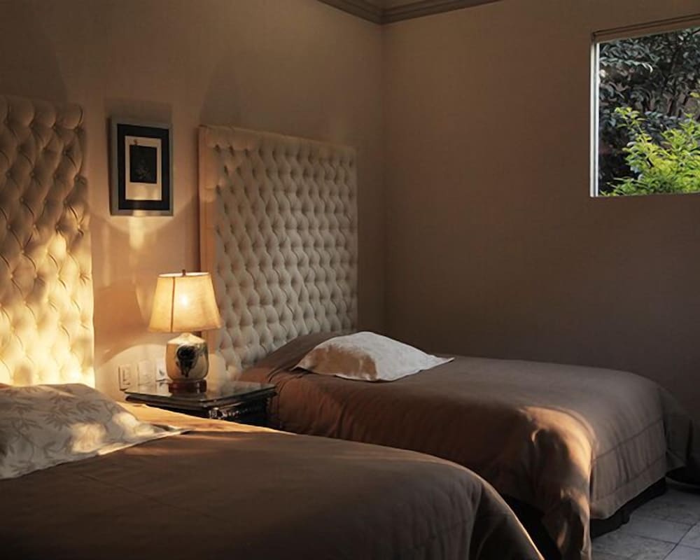 Suite (Cattleya) photo 3