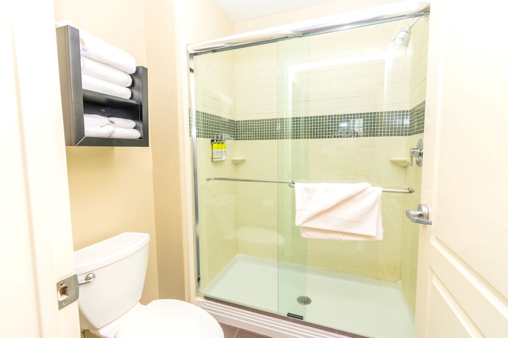 Studio Suite, 1 Queen Bed, Accessible Bathtub, Kitchen (Mobility, Accessible Tub) - Photo 3