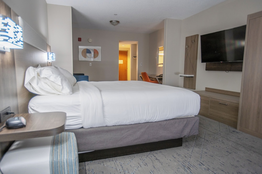 Suite, 1 King Bed with Sofa bed - Photo 6