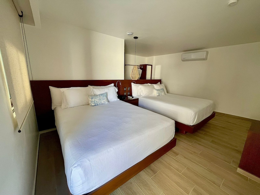 Comfort Suite - Photo 2