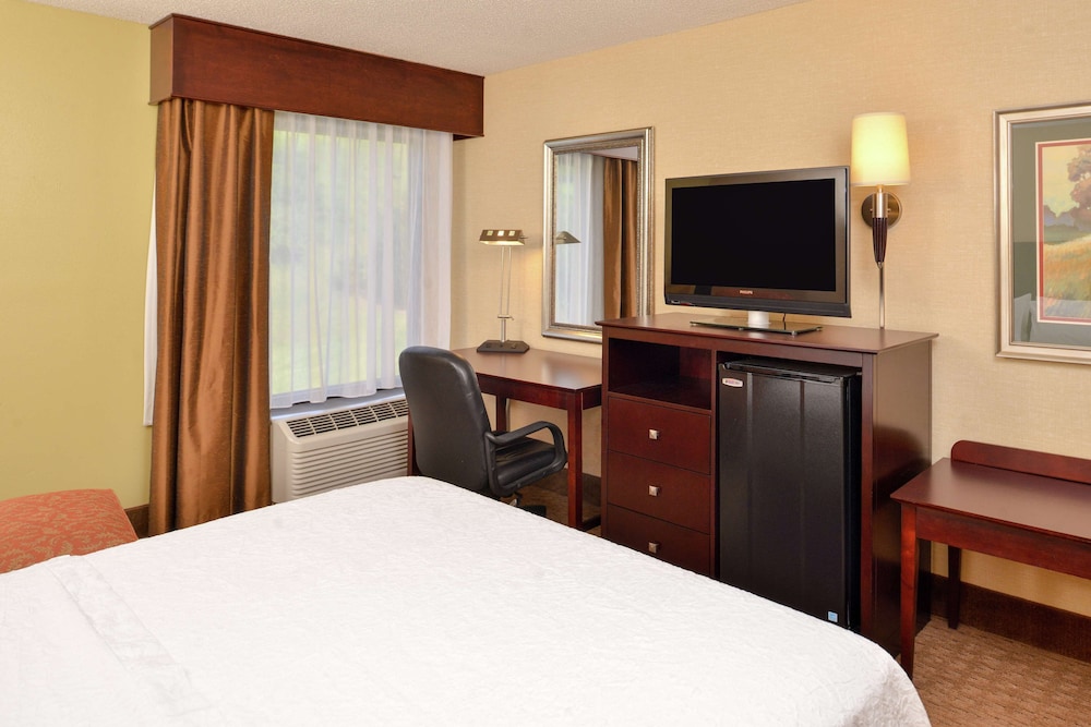 Room, 1 Queen Bed, Non Smoking photo 1