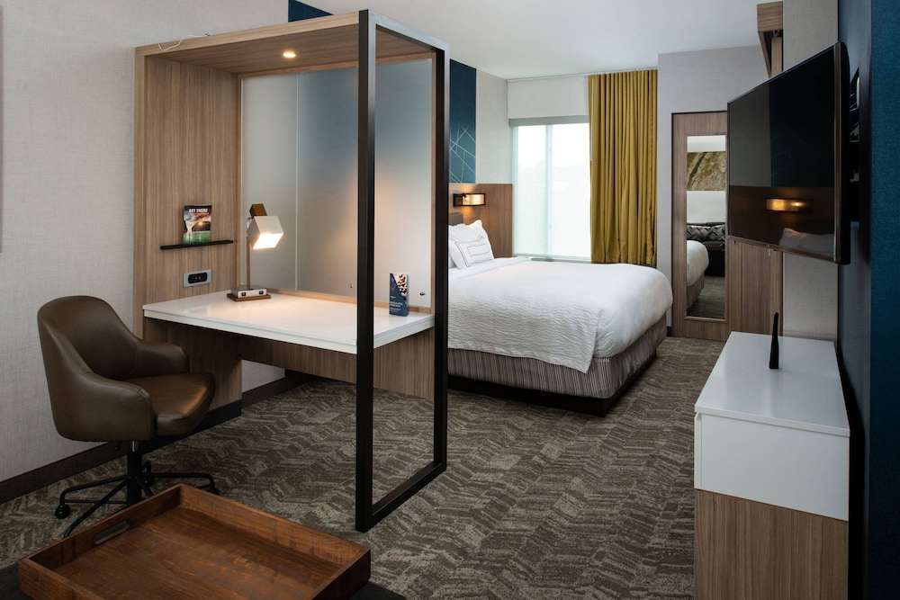 Suite, 1 King Bed photo 1
