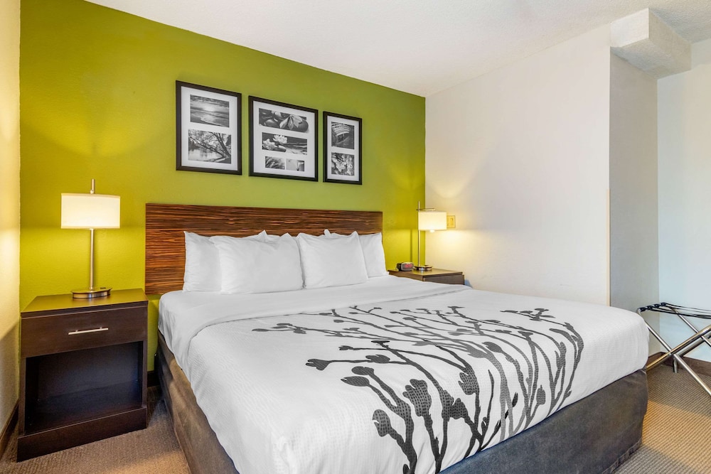 Room, 1 King Bed, Accessible, Non Smoking (Efficiency) photo 1